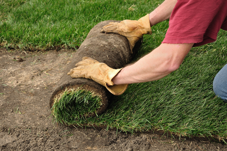Our seeded turf is a great way to create a new lawn.