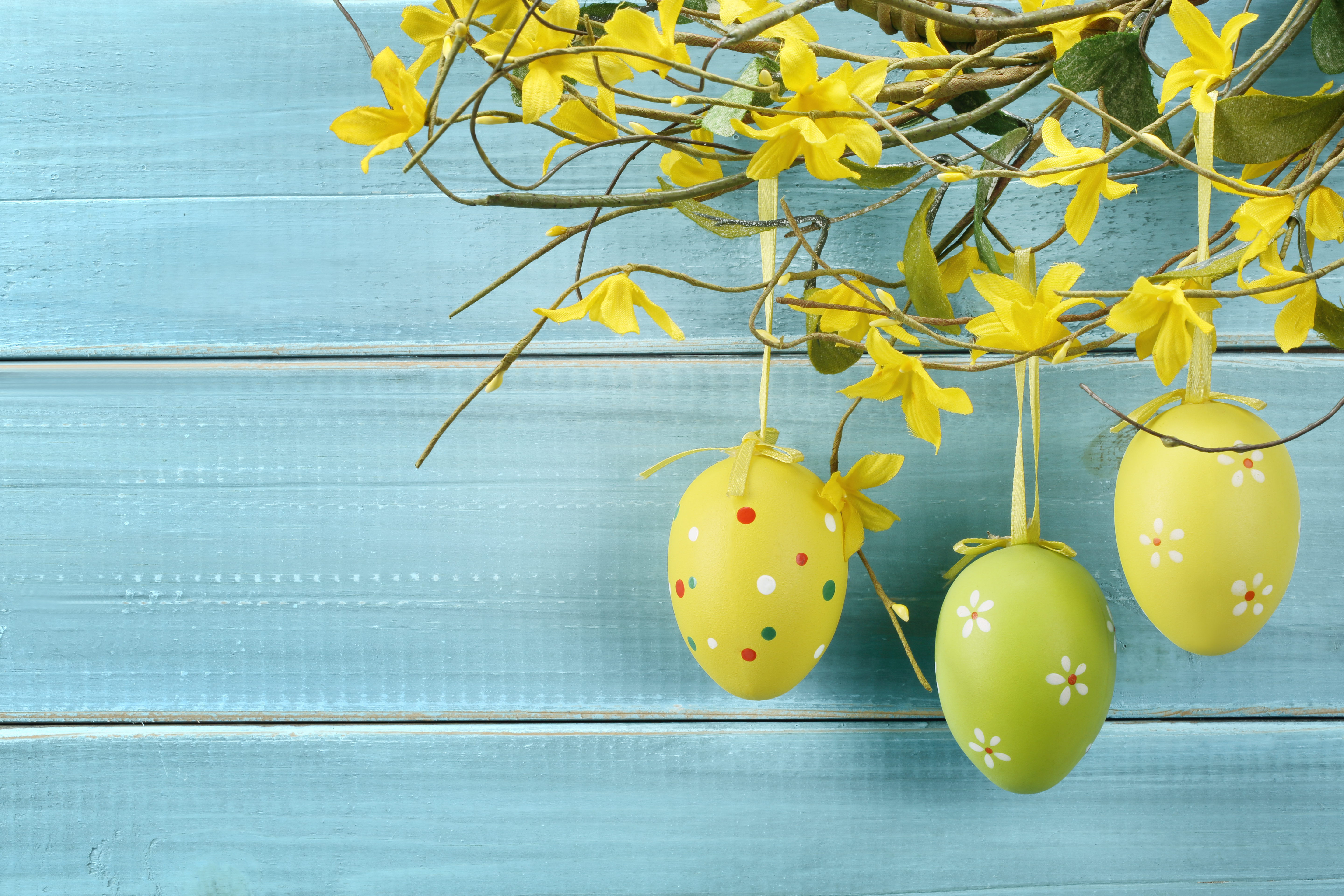 Easeter eggs hanging on forsythia branches