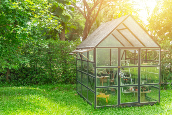 A garden greenhouse in the sunshine