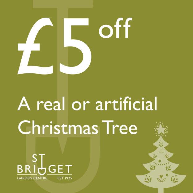 £5 off christmas tree