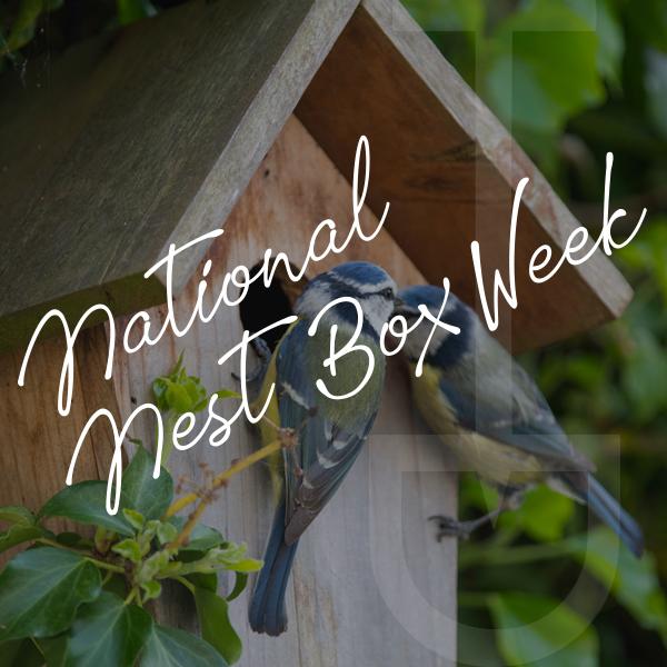 national nestbox week