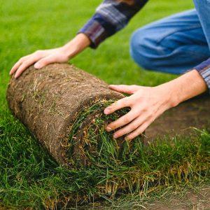 how to lay turf
