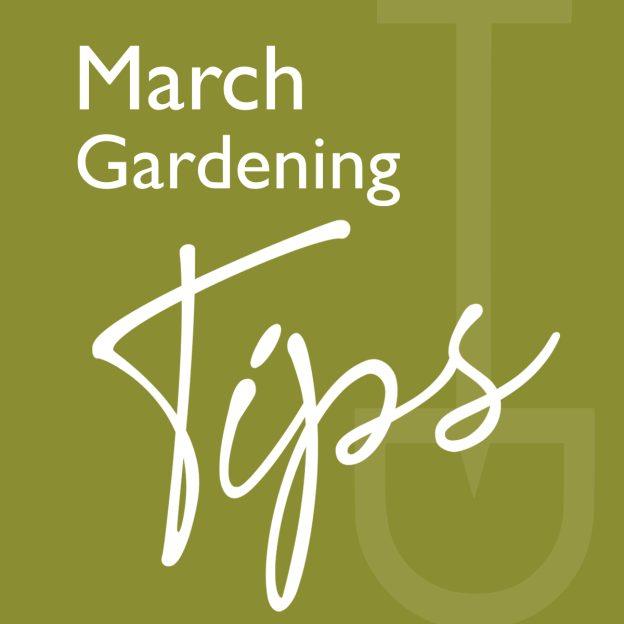 march gardening tips