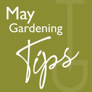 what to do garden may