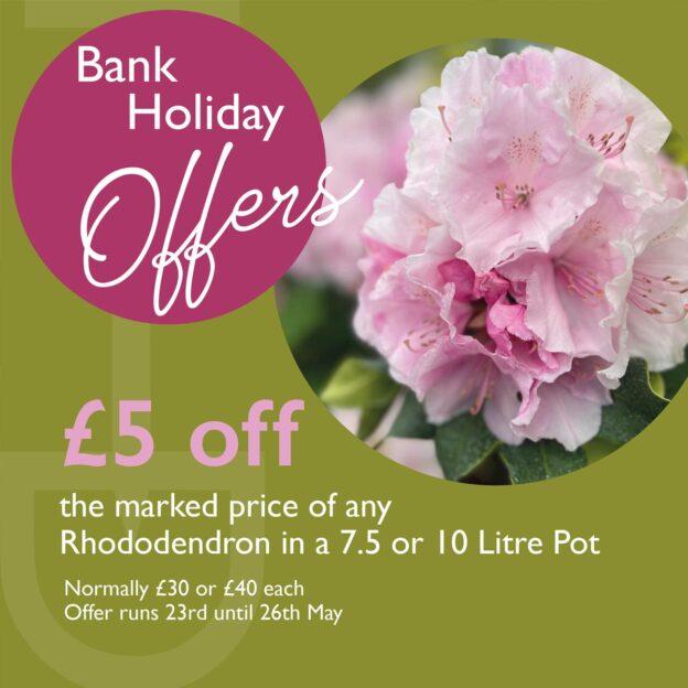 Bank Holiday Offer