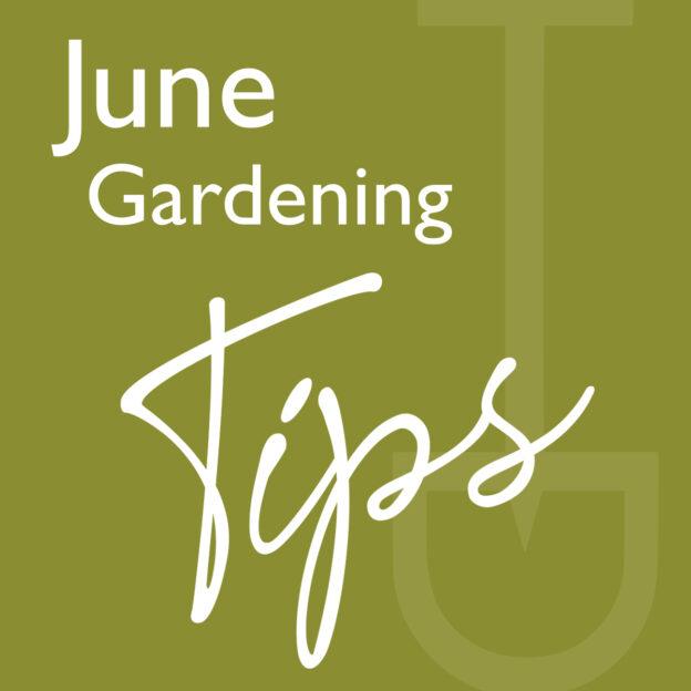 what to do garden june