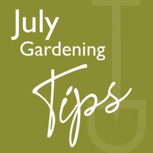 what to do garden july