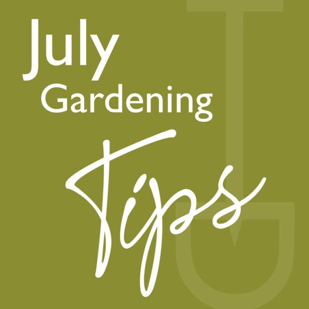 what to do garden july