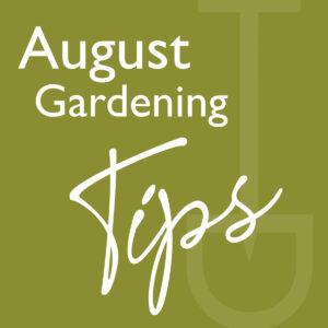 what to do garden august