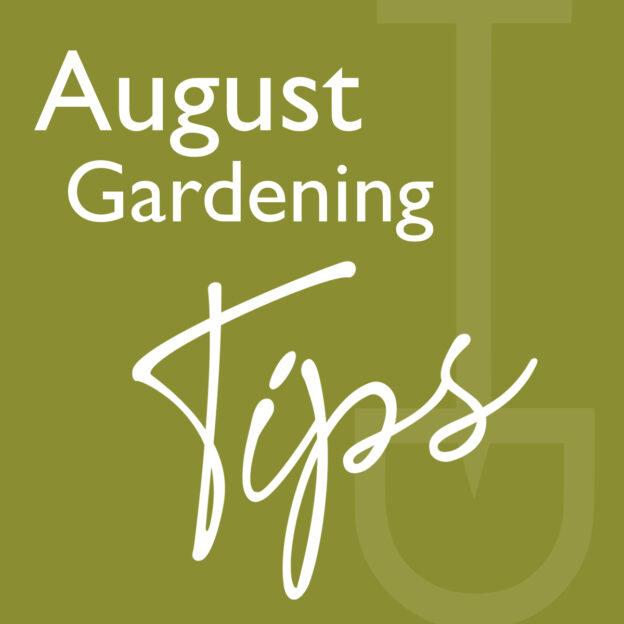what to do garden august