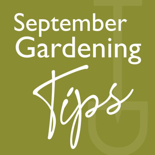 what to do garden september