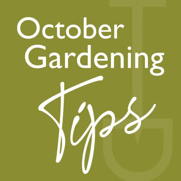 what to do garden october