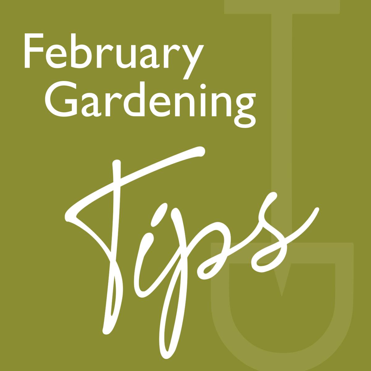 what to do garden february